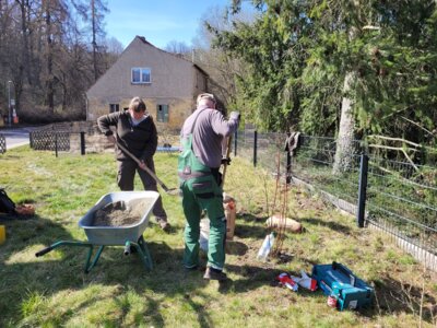 Foto des Albums: Arbeitseinsatz an den Zaunfeldern