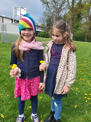 Foto des Albums: Frühlingsgefühle