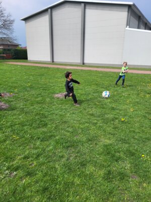 Foto des Albums: Frühlingsgefühle