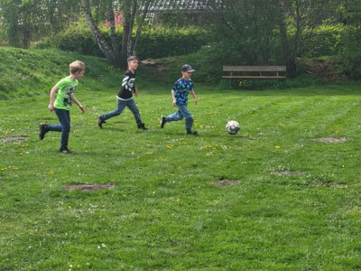 Foto des Albums: Frühlingsgefühle