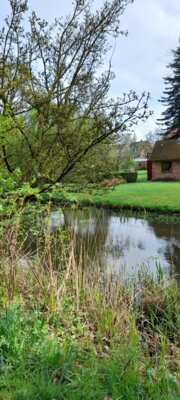 Foto des Albums: 2025-04-22_Eider-Wanderweg
