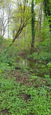 Foto des Albums: 2025-04-22_Eider-Wanderweg