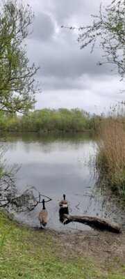 Foto des Albums: 2025-04-22_Eider-Wanderweg