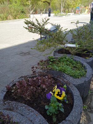 Foto des Albums: Frühjahrsputz 2025