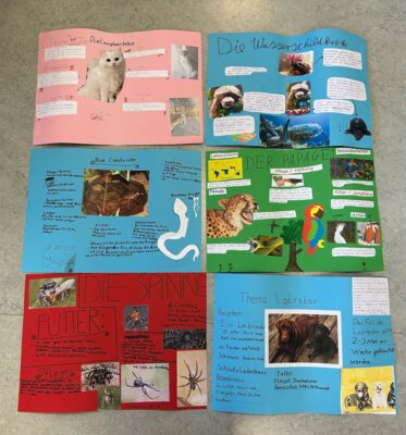 Foto des Albums: Haustiere - Referate Klasse 3