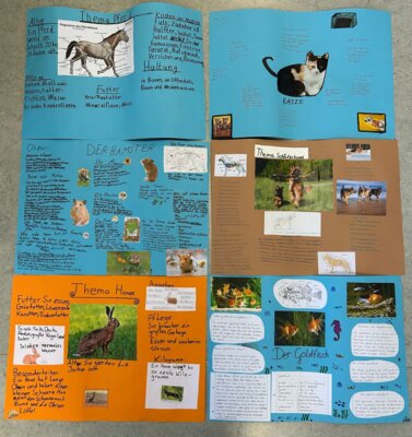 Foto des Albums: Haustiere - Referate Klasse 3