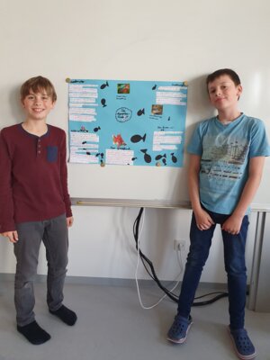 Foto des Albums: Haustiere - Referate Klasse 3