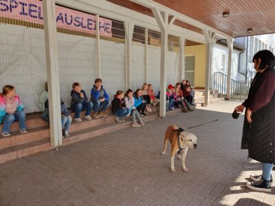 Foto des Albums: Haustiere - Referate Klasse 3