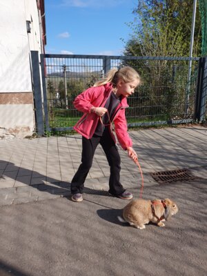 Foto des Albums: Haustiere - Referate Klasse 3