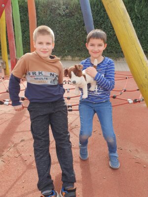 Foto des Albums: Haustiere - Referate Klasse 3