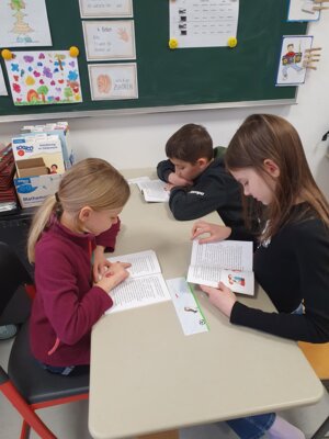 Foto des Albums: Haustiere - Referate Klasse 3