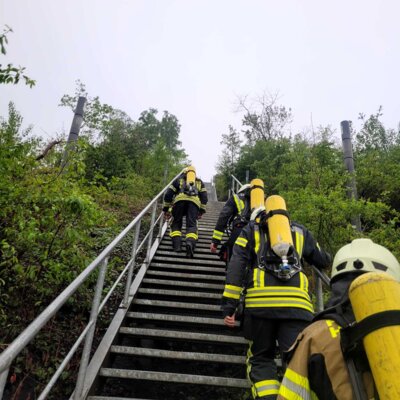 Foto des Albums: Treppenlauf Millicher Halde