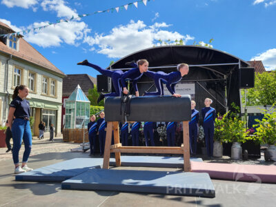 Foto des Albums: Pritzwalker Frühlingserwachen 2025 lud zum Stöbern und Schlemmen ein