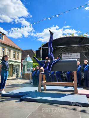 Foto des Albums: Pritzwalker Frühlingserwachen 2025 lud zum Stöbern und Schlemmen ein