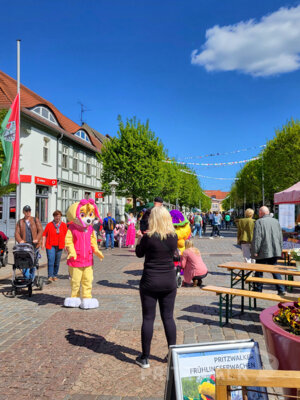 Foto des Albums: Pritzwalker Frühlingserwachen 2025 lud zum Stöbern und Schlemmen ein