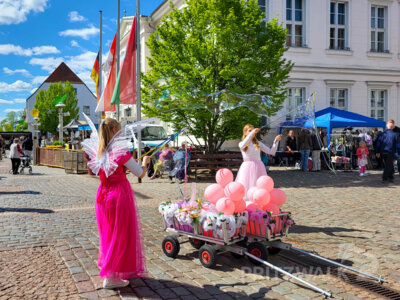 Foto des Albums: Pritzwalker Frühlingserwachen 2025 lud zum Stöbern und Schlemmen ein