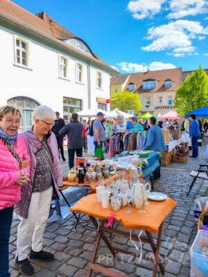 Foto des Albums: Pritzwalker Frühlingserwachen 2025 lud zum Stöbern und Schlemmen ein