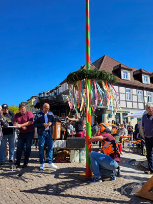 Foto des Albums: Pritzwalker Frühlingserwachen 2025 lud zum Stöbern und Schlemmen ein