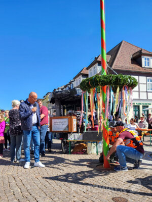 Foto des Albums: Pritzwalker Frühlingserwachen 2025 lud zum Stöbern und Schlemmen ein