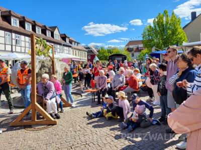 Foto des Albums: Pritzwalker Frühlingserwachen 2025 lud zum Stöbern und Schlemmen ein