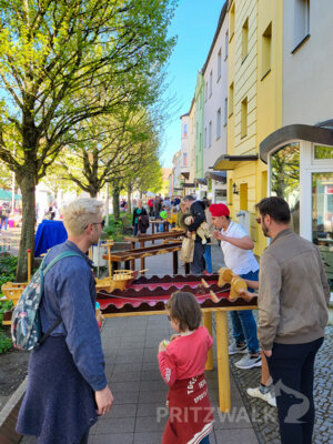 Foto des Albums: Pritzwalker Frühlingserwachen 2025 lud zum Stöbern und Schlemmen ein