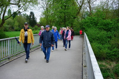 Fr&ouml;hlich &uuml;ber die Leine  (Bild vergr&ouml;&szlig;ern)