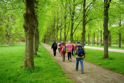 Herrenh&auml;user Allee im Georgengarten  (Bild vergr&ouml;&szlig;ern)