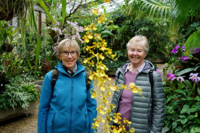 Im Paradies f&uuml;r Orchideen-Liebhaber  (Bild vergr&ouml;&szlig;ern)