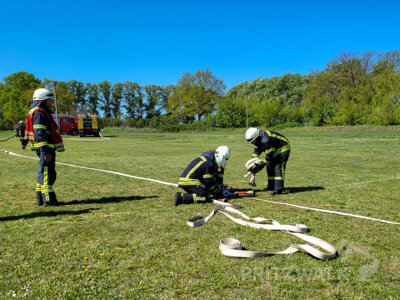 Foto des Albums: Stadtausbildungstag der Feuerwehren 2025