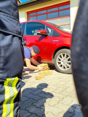 Foto des Albums: Stadtausbildungstag der Feuerwehren 2025