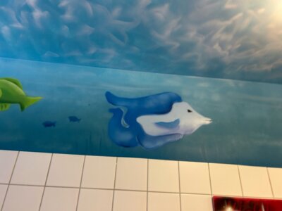 Foto des Albums: Die Toiletten erstrahlen in neuem Licht!