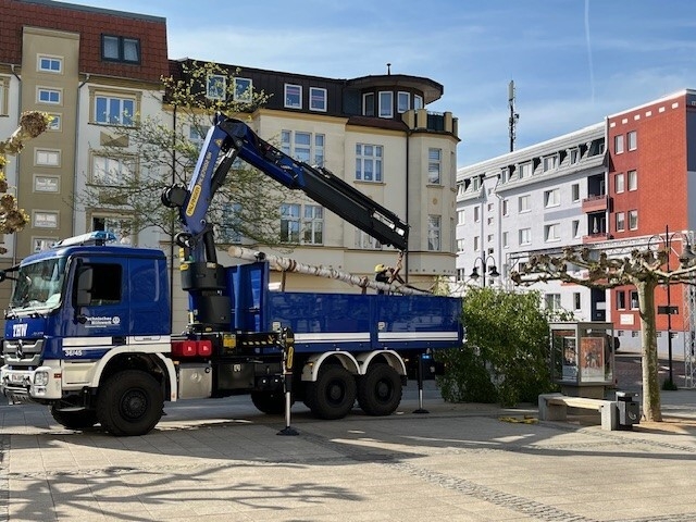 Bild der Galerie