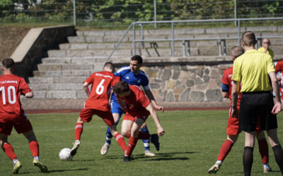 Foto des Albums: ESV260425