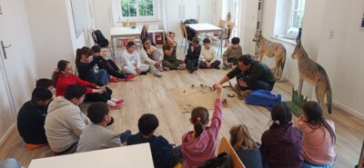 Foto des Albums: RUZ Wolf Klasse 3a