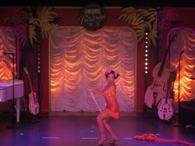 Foto des Albums: THE FIREBIRDS BURLESQUE SHOW