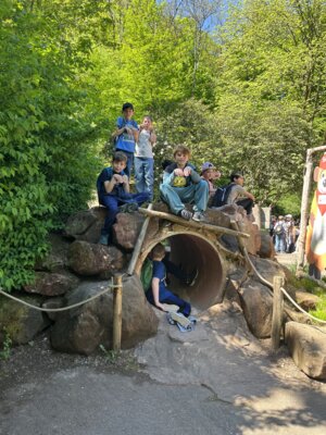 Foto des Albums: Zoobesuch 4. Klassen