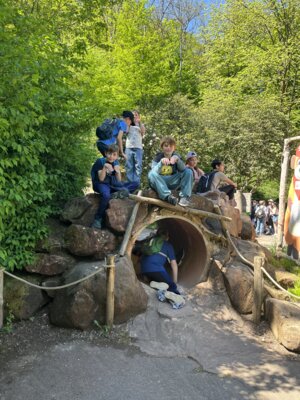 Foto des Albums: Zoobesuch 4. Klassen