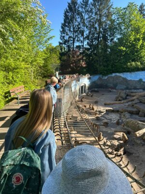 Foto des Albums: Zoobesuch 4. Klassen