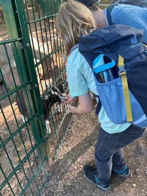 Foto des Albums: Zoobesuch 4. Klassen