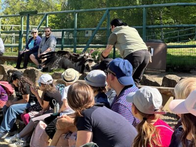 Foto des Albums: Zoobesuch 4. Klassen