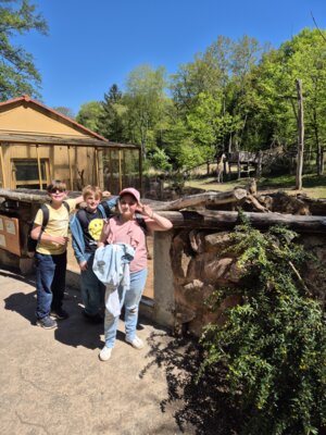 Foto des Albums: Zoobesuch 4. Klassen