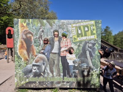 Foto des Albums: Zoobesuch 4. Klassen