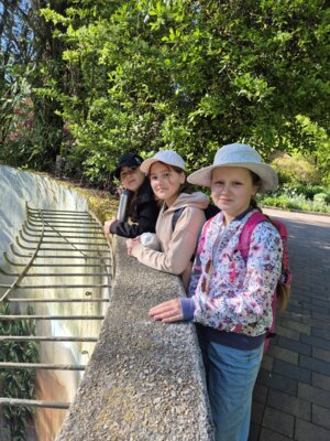 Foto des Albums: Zoobesuch 4. Klassen