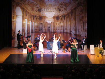 Foto des Albums: Traummelodien der Operette