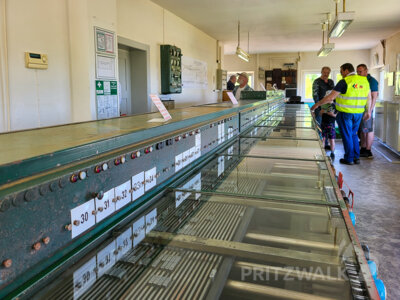 Foto des Albums: „Museum für Eisenbahntechnik & Bahnpolizei-Geschichte“ wurde eröffnet