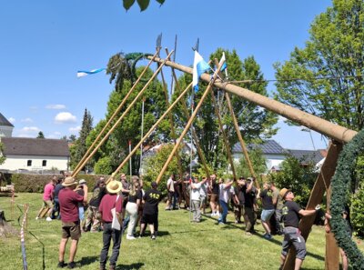 Foto des Albums: Maibaumaufstellen 2025