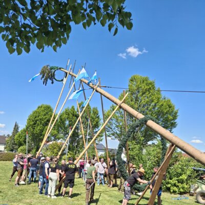 Foto des Albums: Maibaumaufstellen 2025