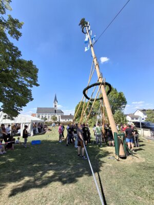 Foto des Albums: Maibaumaufstellen 2025
