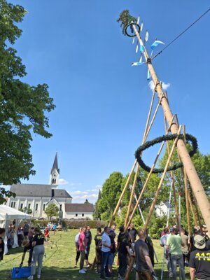 Foto des Albums: Maibaumaufstellen 2025