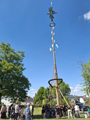 Foto des Albums: Maibaumaufstellen 2025